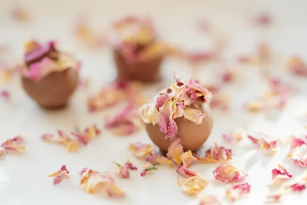 Otto Kasino Aplicación Android/iOS